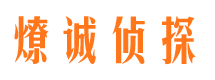 柳北市调查公司